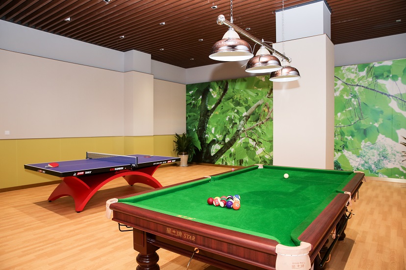 桐乡华锐自控技术装备有限公司办公环境_台球室