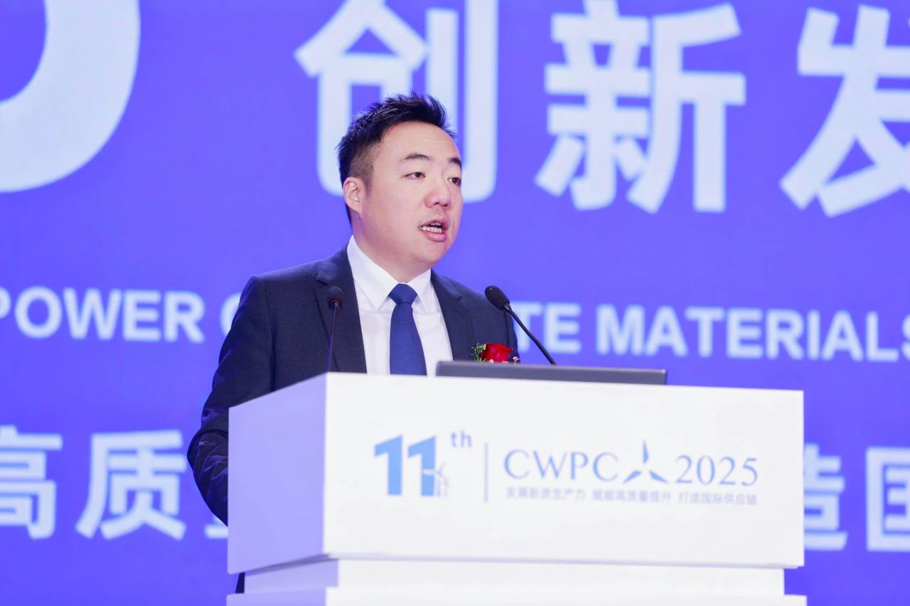 风电大会，振石交出廿年考卷(图2)